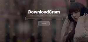 DownloadGram